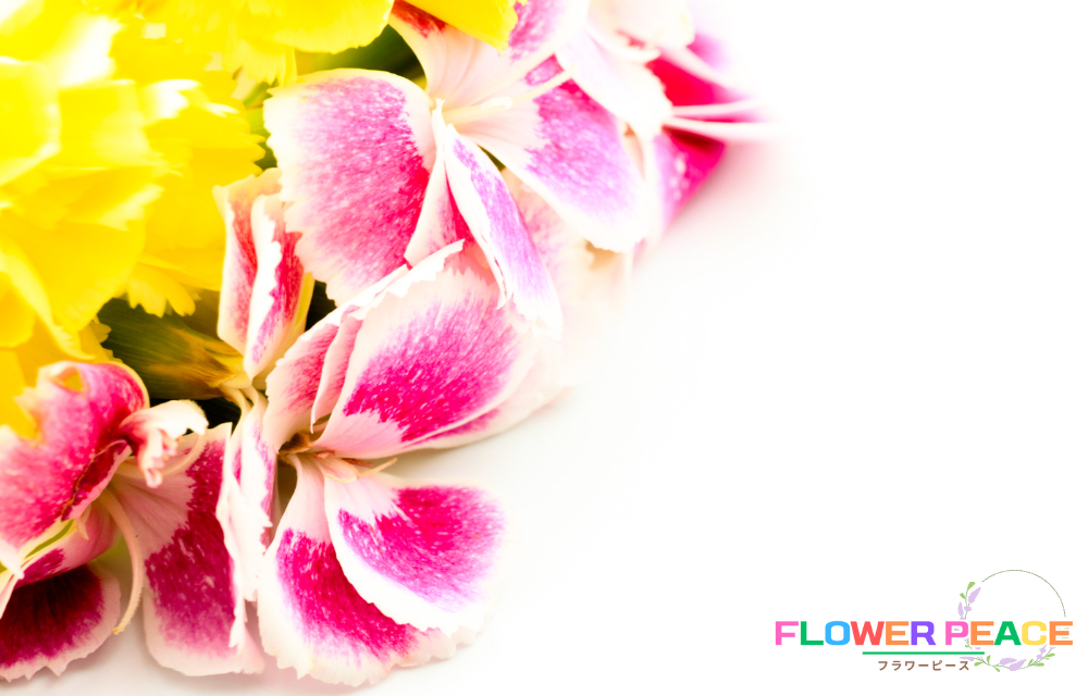 節目と記念日：花が織りなす時の旅